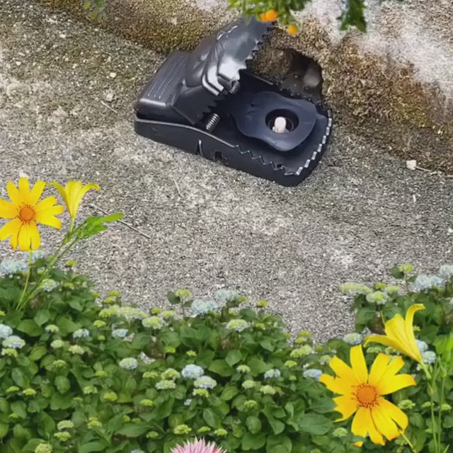 Reusable Heavy-Duty Mouse Trap-Strong and durable